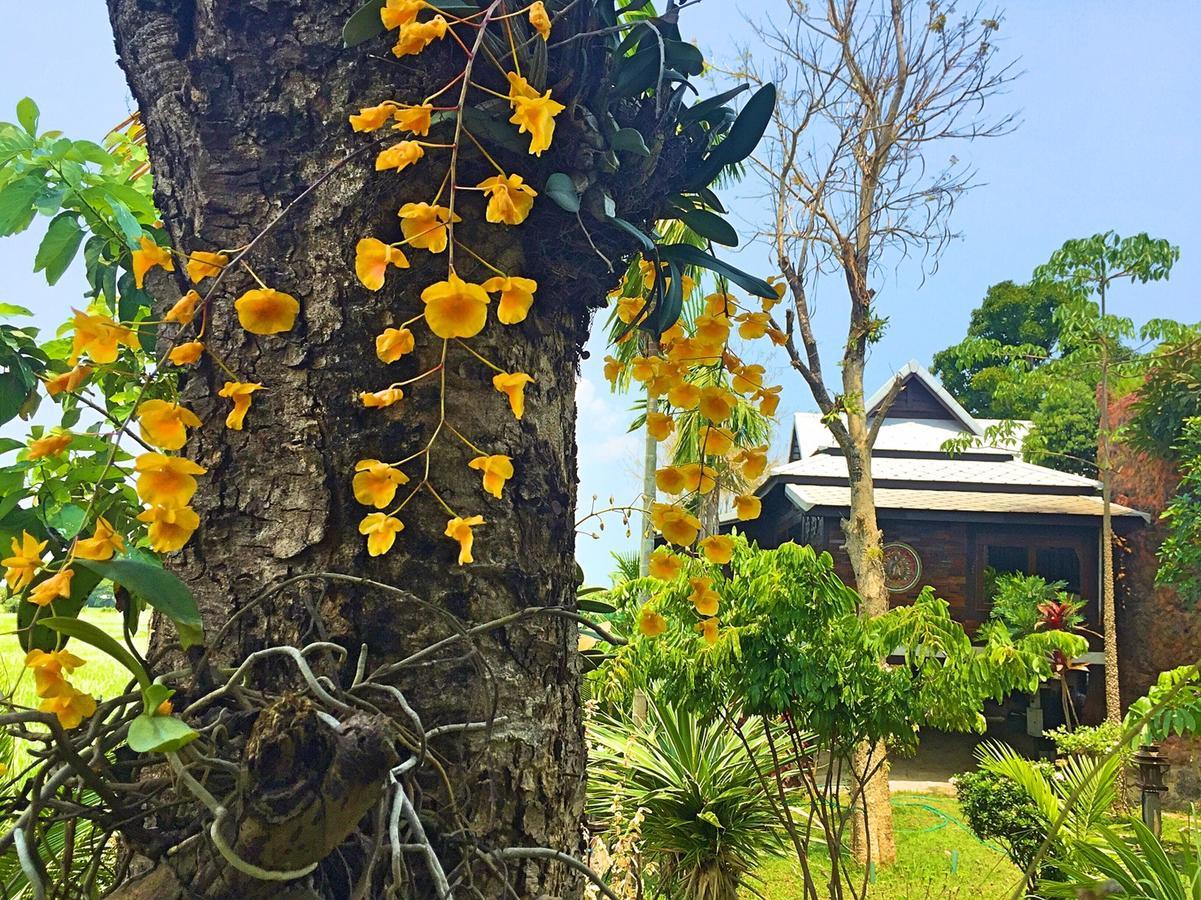 Resort Bantunglom Mae Rim