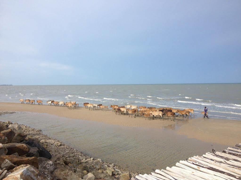 Red Z The Ocean Resort 4*