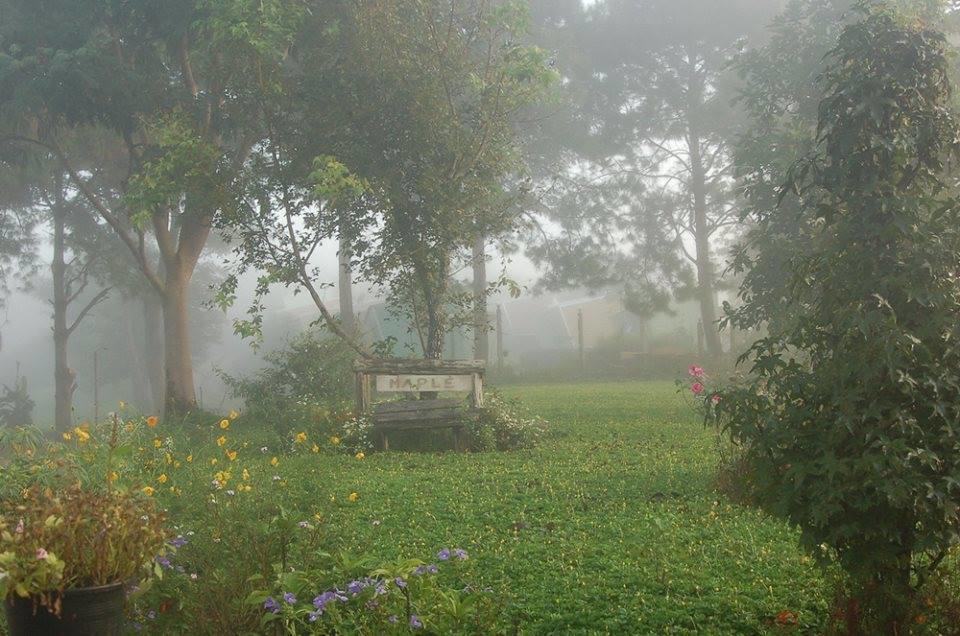 Red Z Cool Mountain Khao Kho