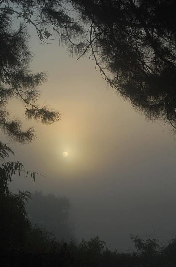 Red Z Cool Mountain Khao Kho