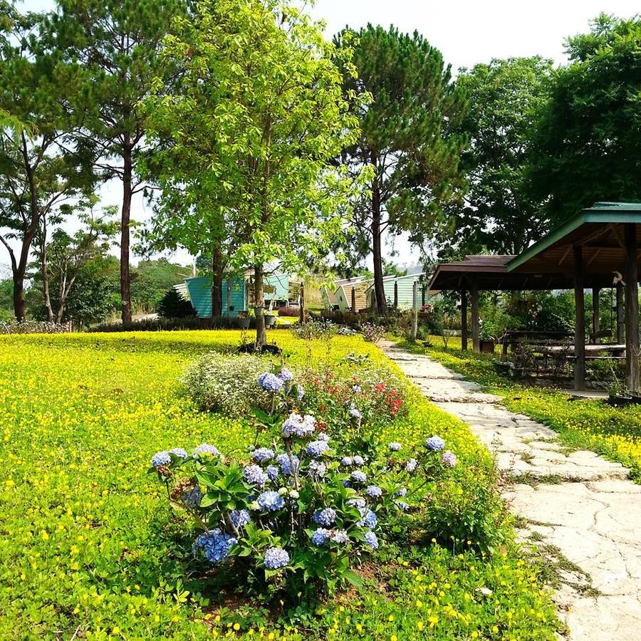 Red Z Cool Mountain Khao Kho