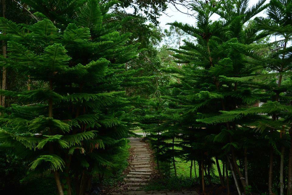 Red Z Cool Mountain 3* Khao Kho