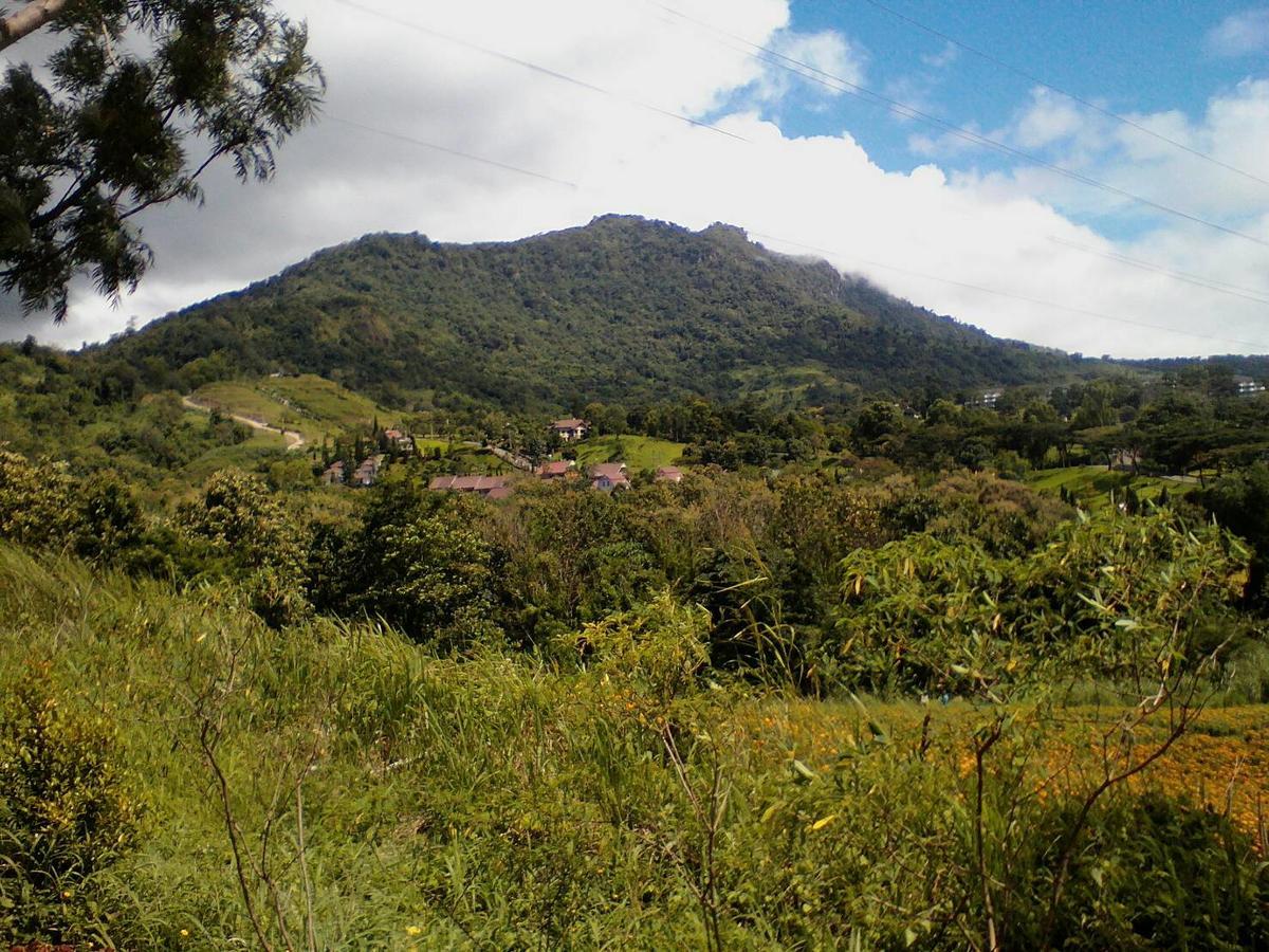 Red Z Cool Mountain Resort 3*