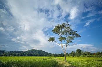 Apartment Bambuh Boutique (adults Only) Chiang Rai