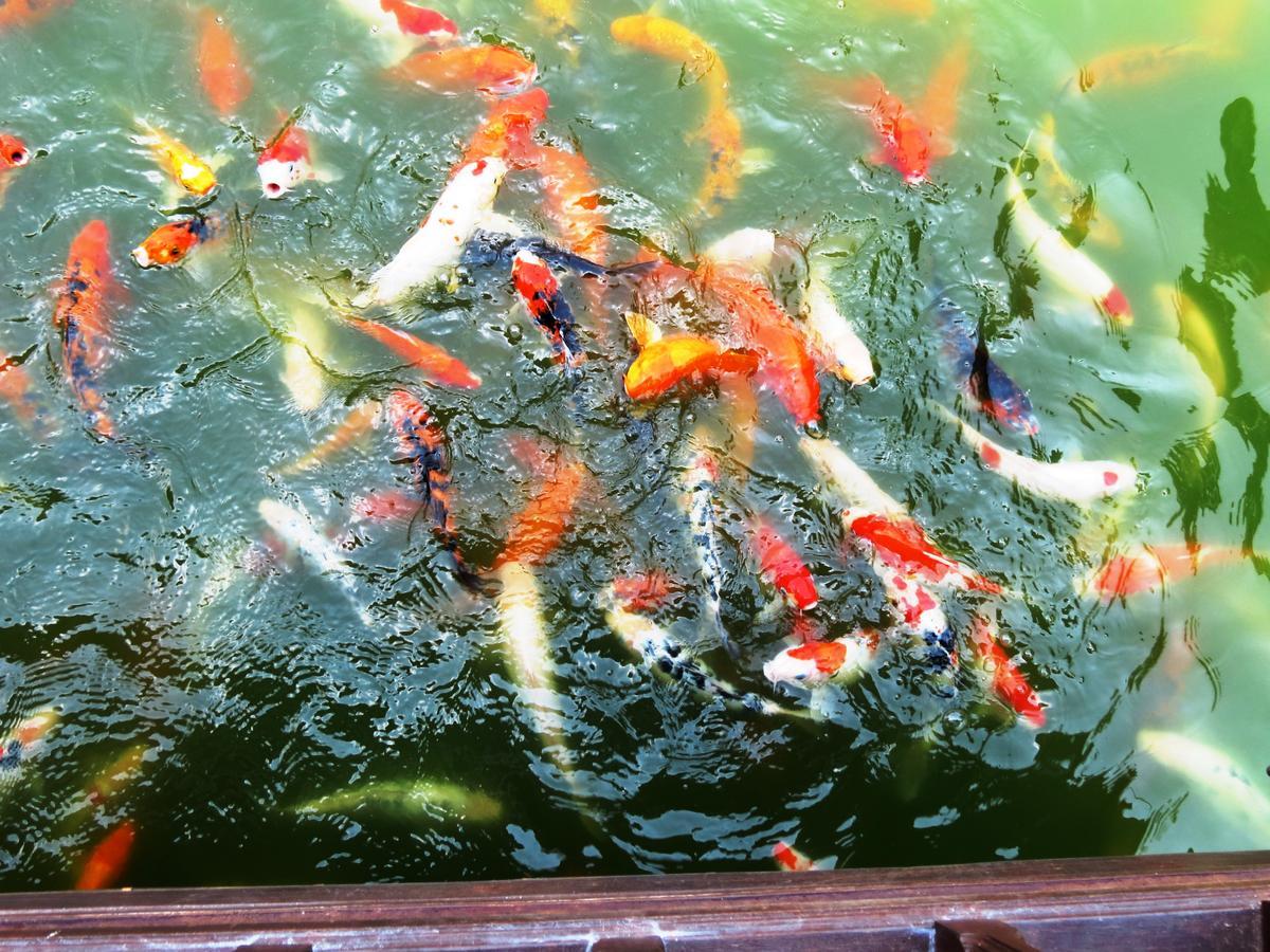 Pongsin Resort 3*