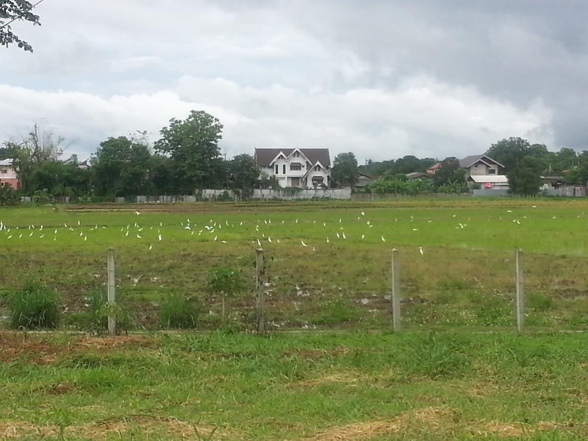 Queue&bright Resort Ban Pa Tung (Chiang Rai)