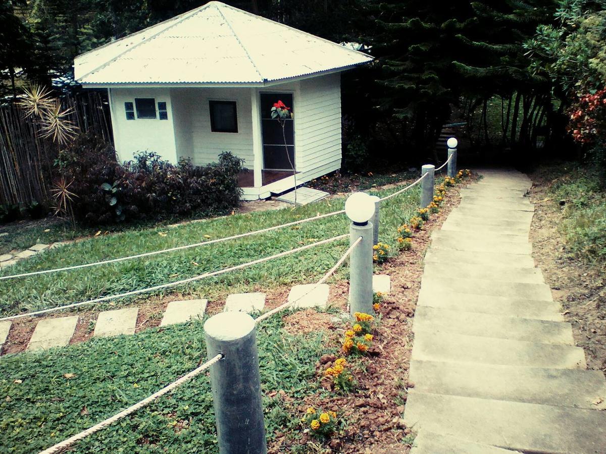 Resort Red Z Cool Mountain