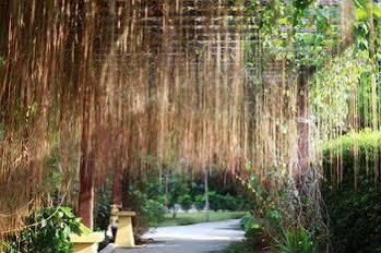 Baan Resort&spa 3*
