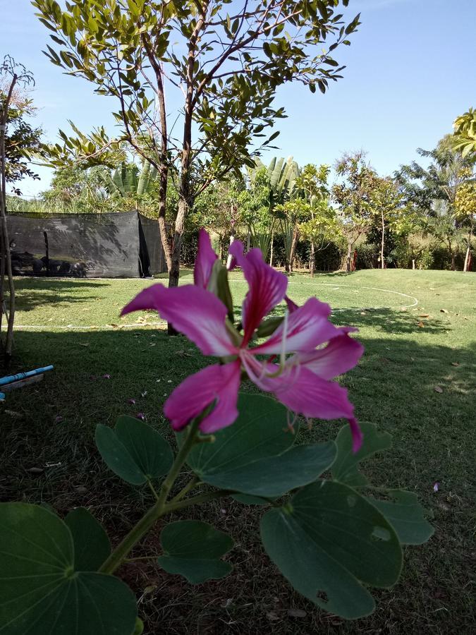 เคียงเลิงรีสอร์ท Resort Ban Nong Bua Thong
