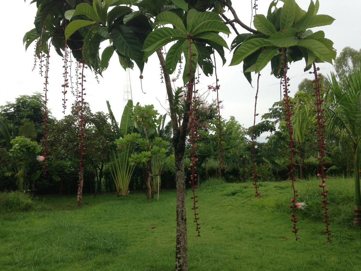 เคียงเลิงรีสอร์ท Resort Ban Nong Bua Thong