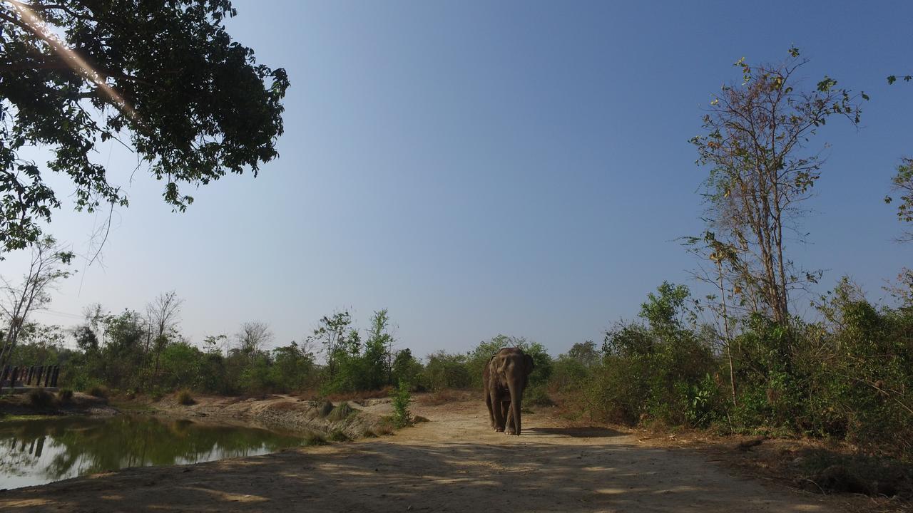 Resort I Phants 3*