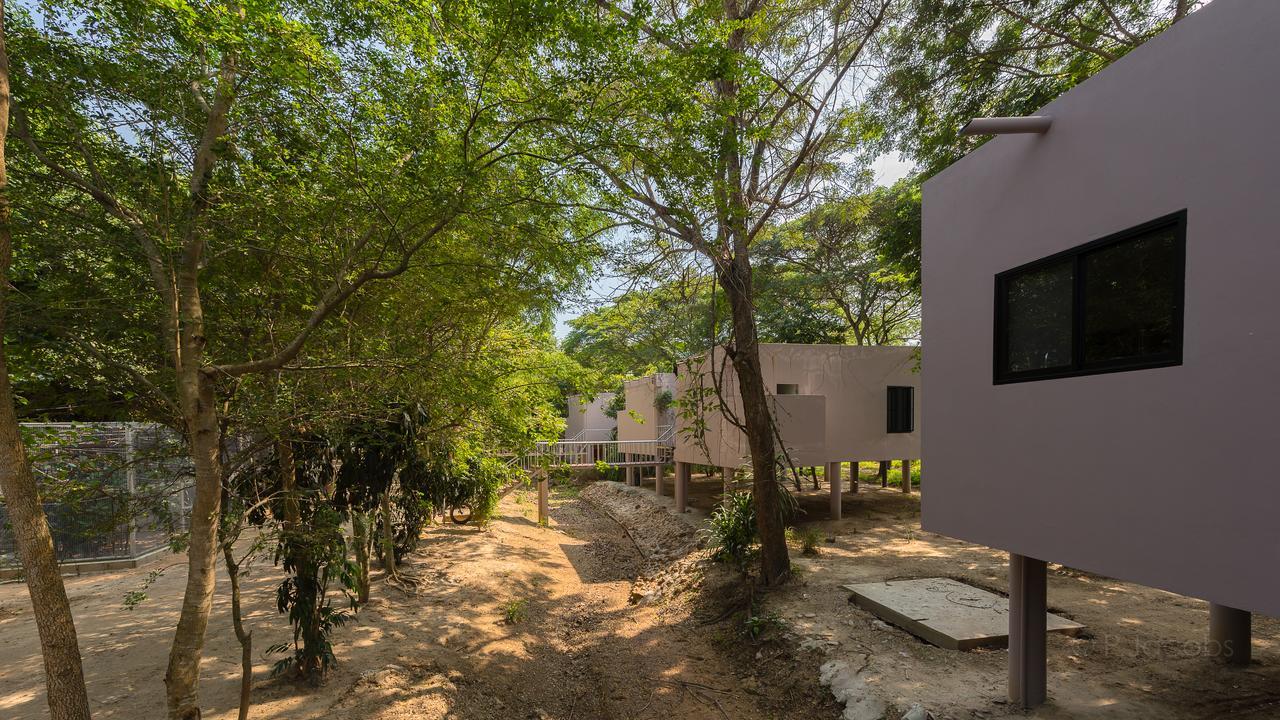 Resort I Phants