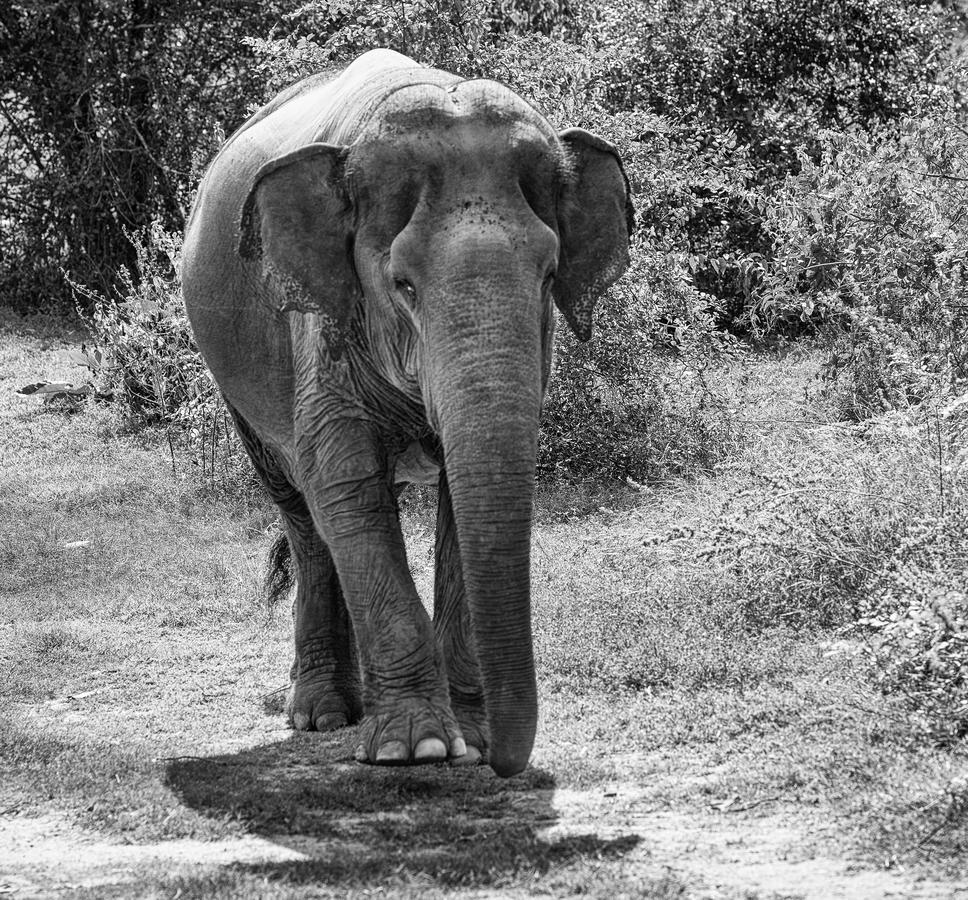 Resort I Phants Ban Huai Thawai