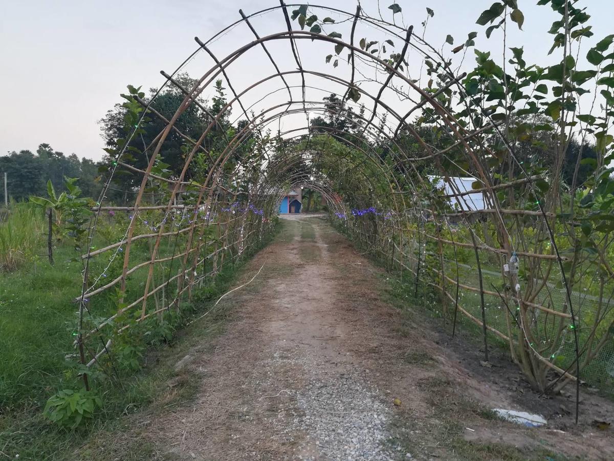 Bn Resort Ban Nong Chum Saeng