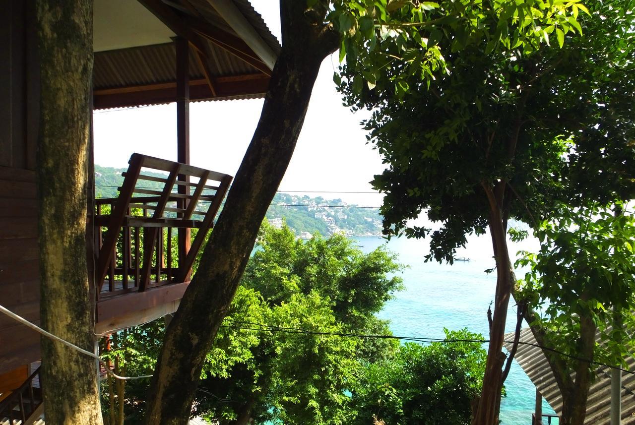 Ok2 Koh Tao