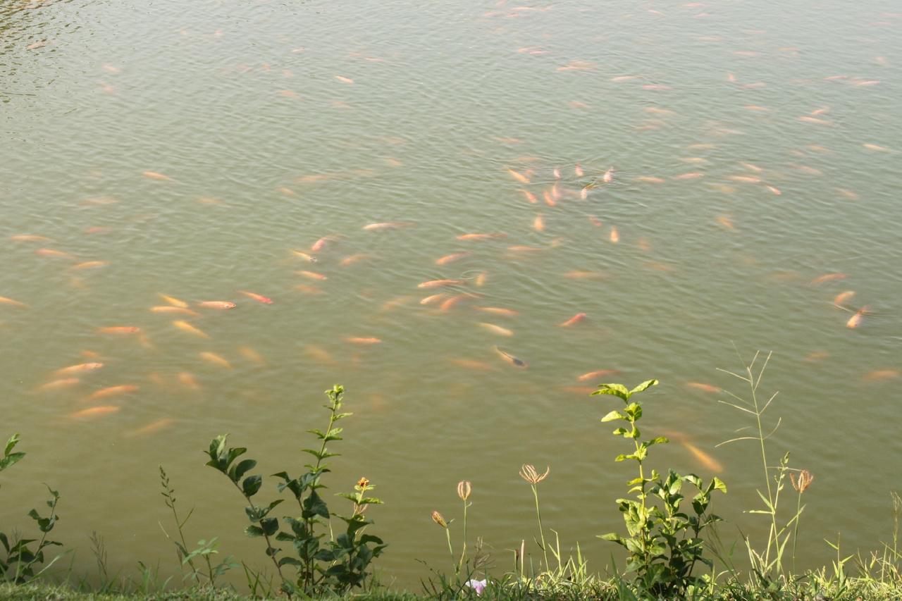 Menam Resort Nakhon Pathom