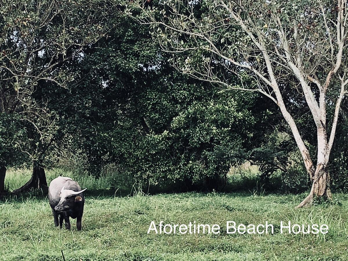 Aforetime Beach House Hostel
