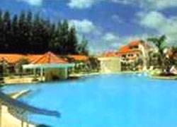 Dad D By Resort