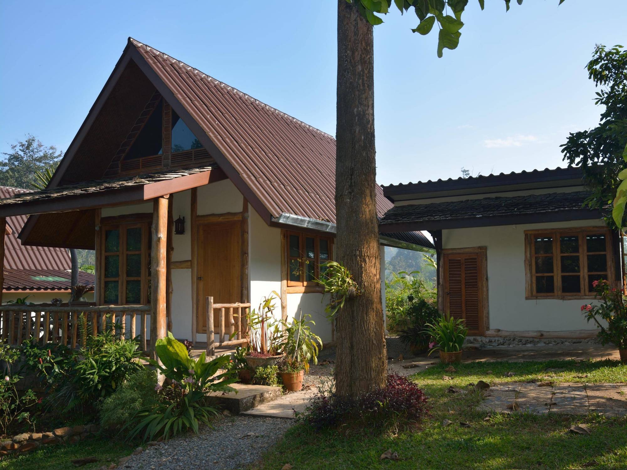 At Chiang Dao, Pooch Lovers