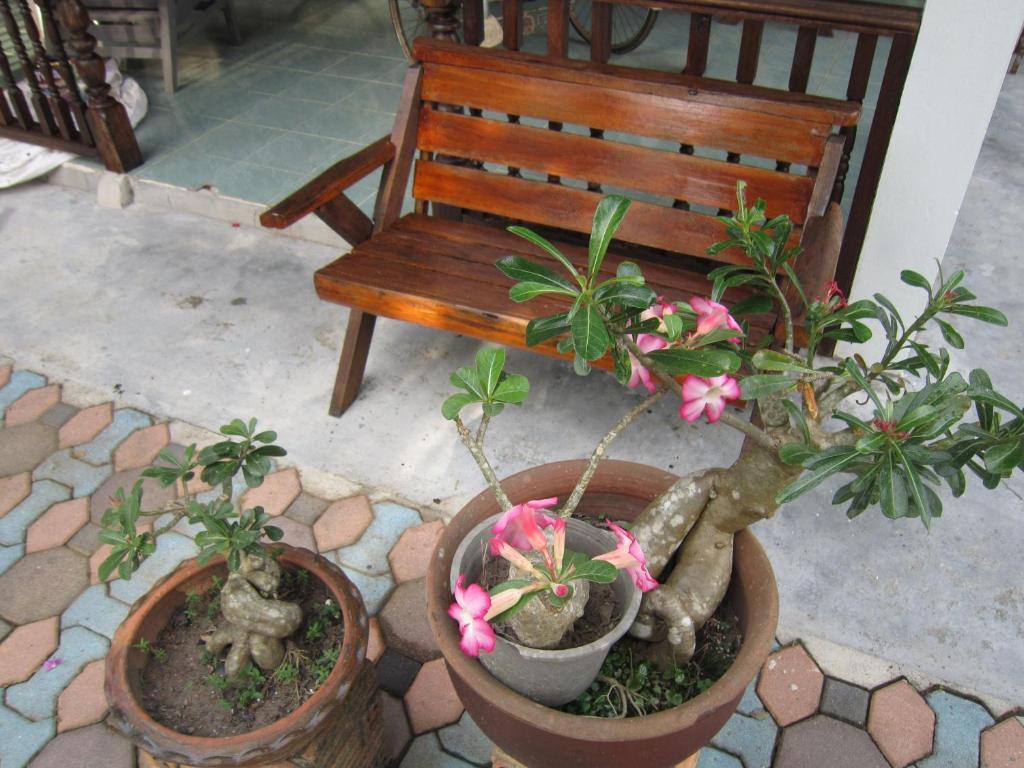 Apartment Phangan Natural