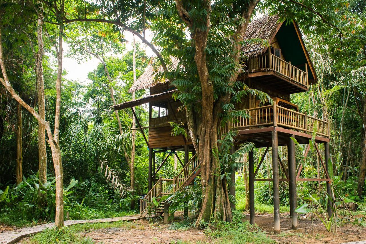 Our Jungle Camp - Eco Resort