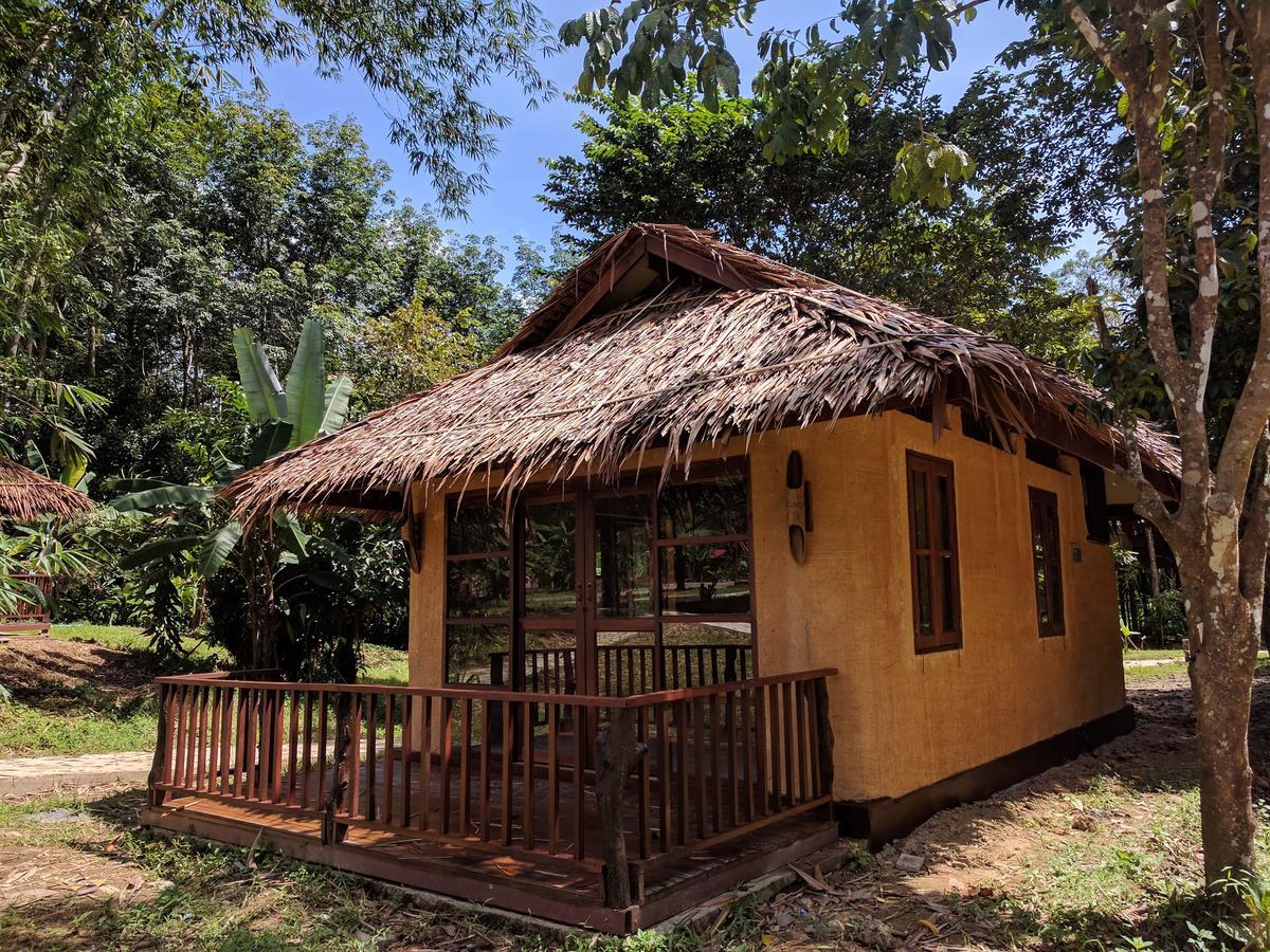 Our Jungle Camp - Eco Resort