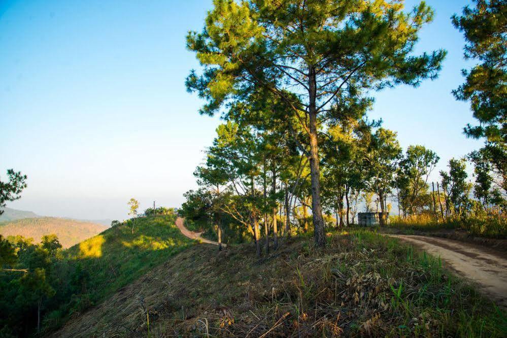 Phu Mork Dao Resort Resort Pong Yaeng