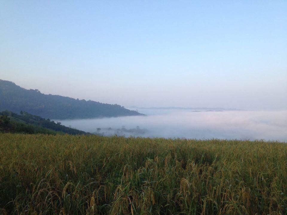 Thanorm Rak Resort Khao Kho