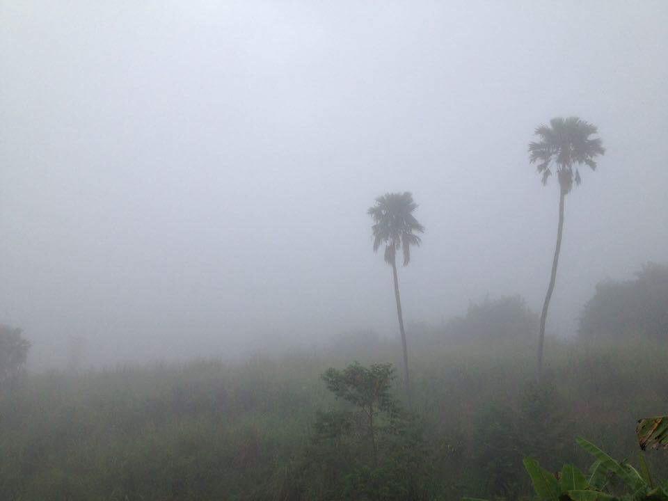 Thanorm Rak Resort 2*