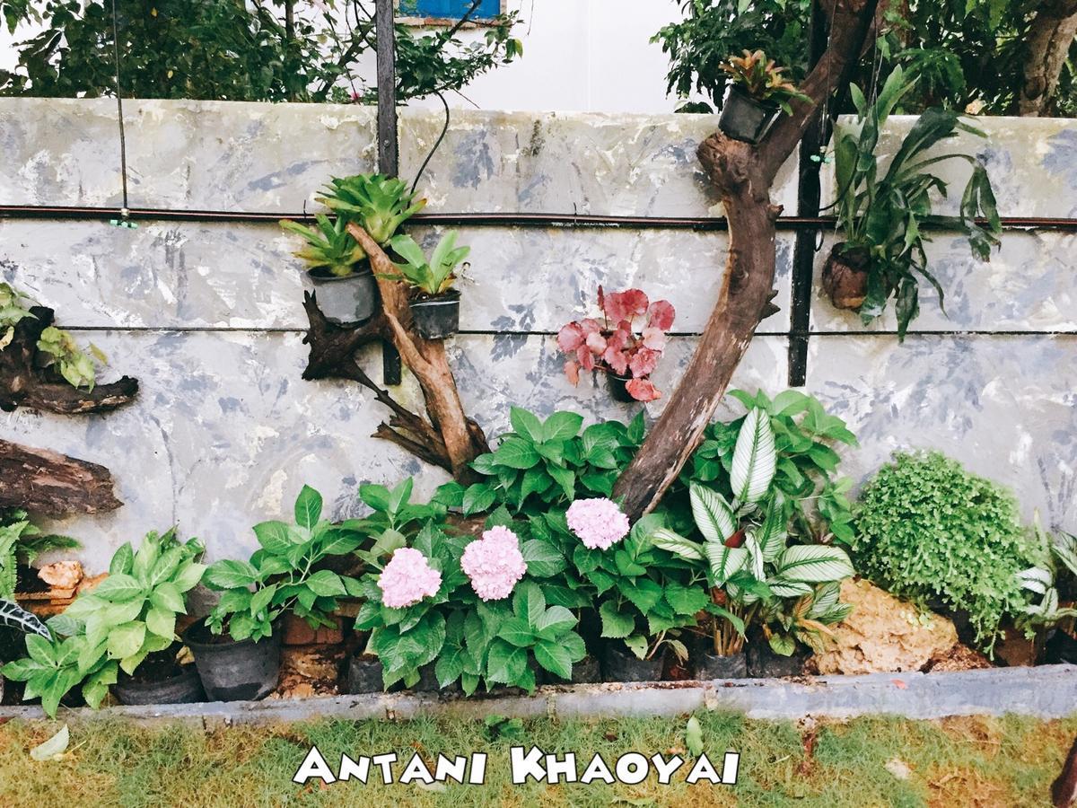 Antani @khaoyai * Pong Talong