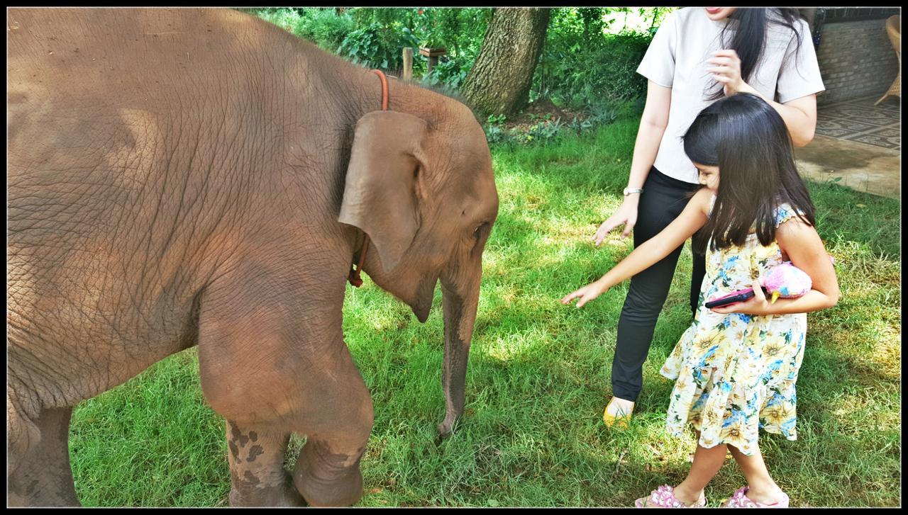 The White Buffalo Resort Chiang Mai