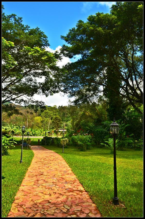 The White Buffalo Resort Chiang Mai