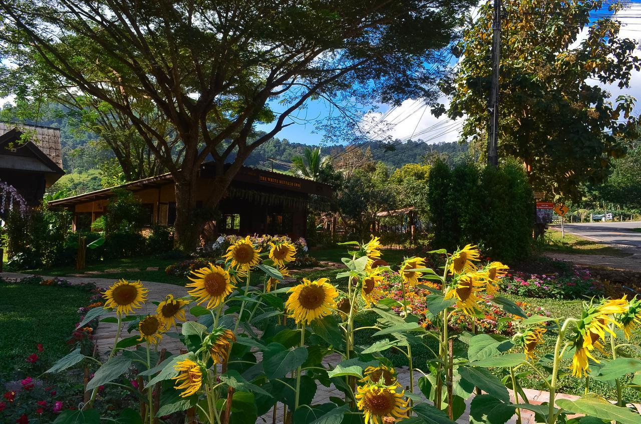 Resort The White Buffalo 2*