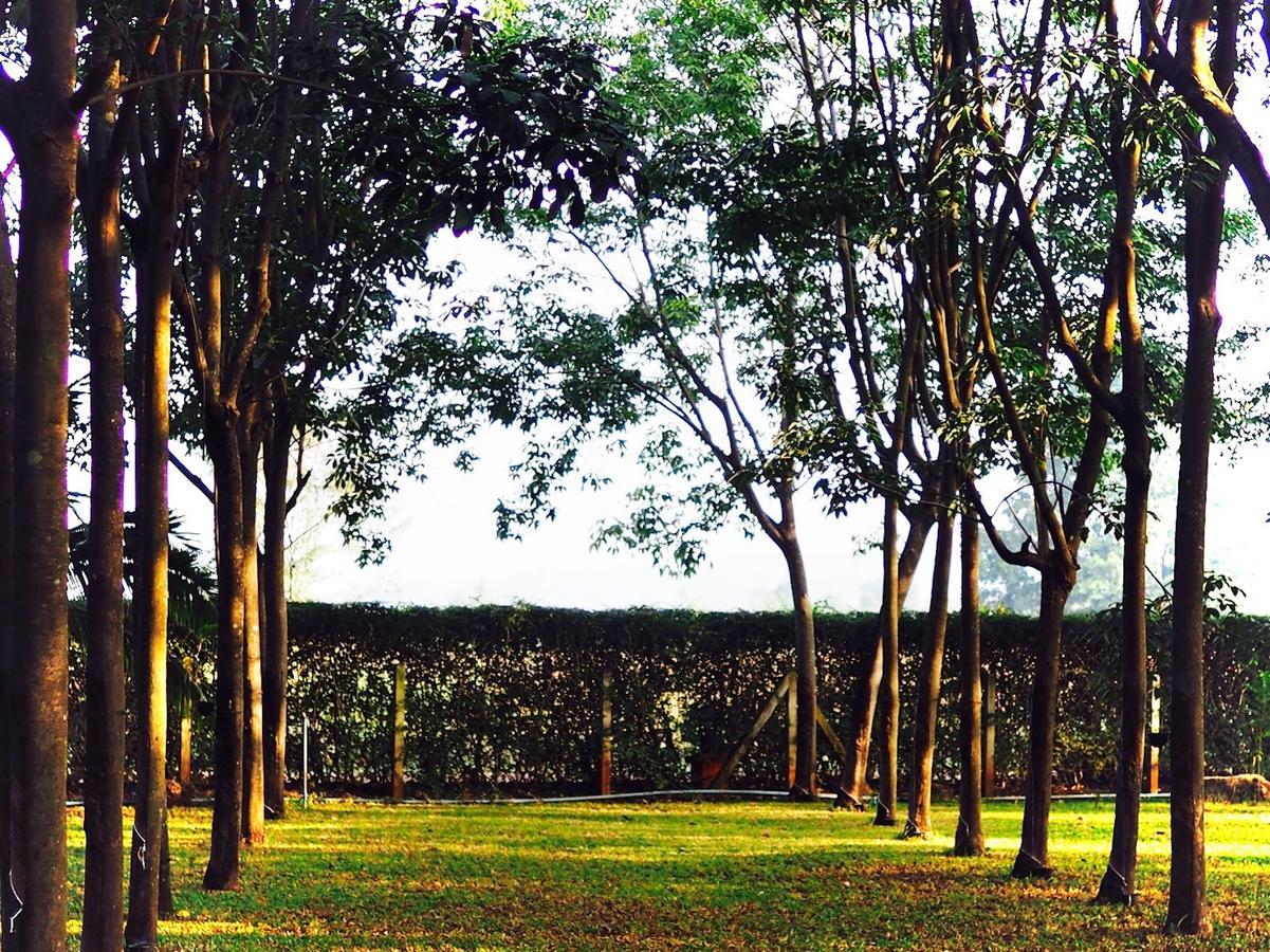 Resort Singha Rubber Tree 3*