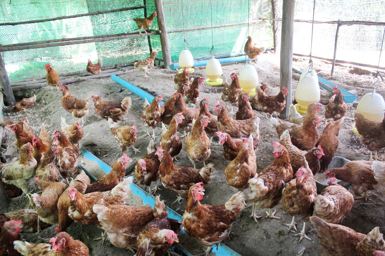 Yaoisland And Farm 3* Ko Yao Yai