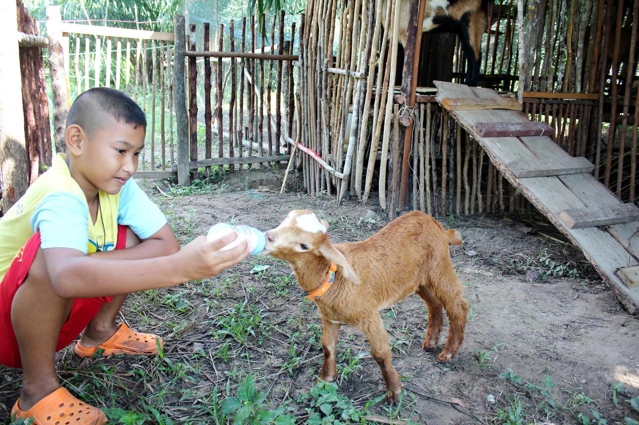 Resort Yaoisland And Farm Ko Yao Yai