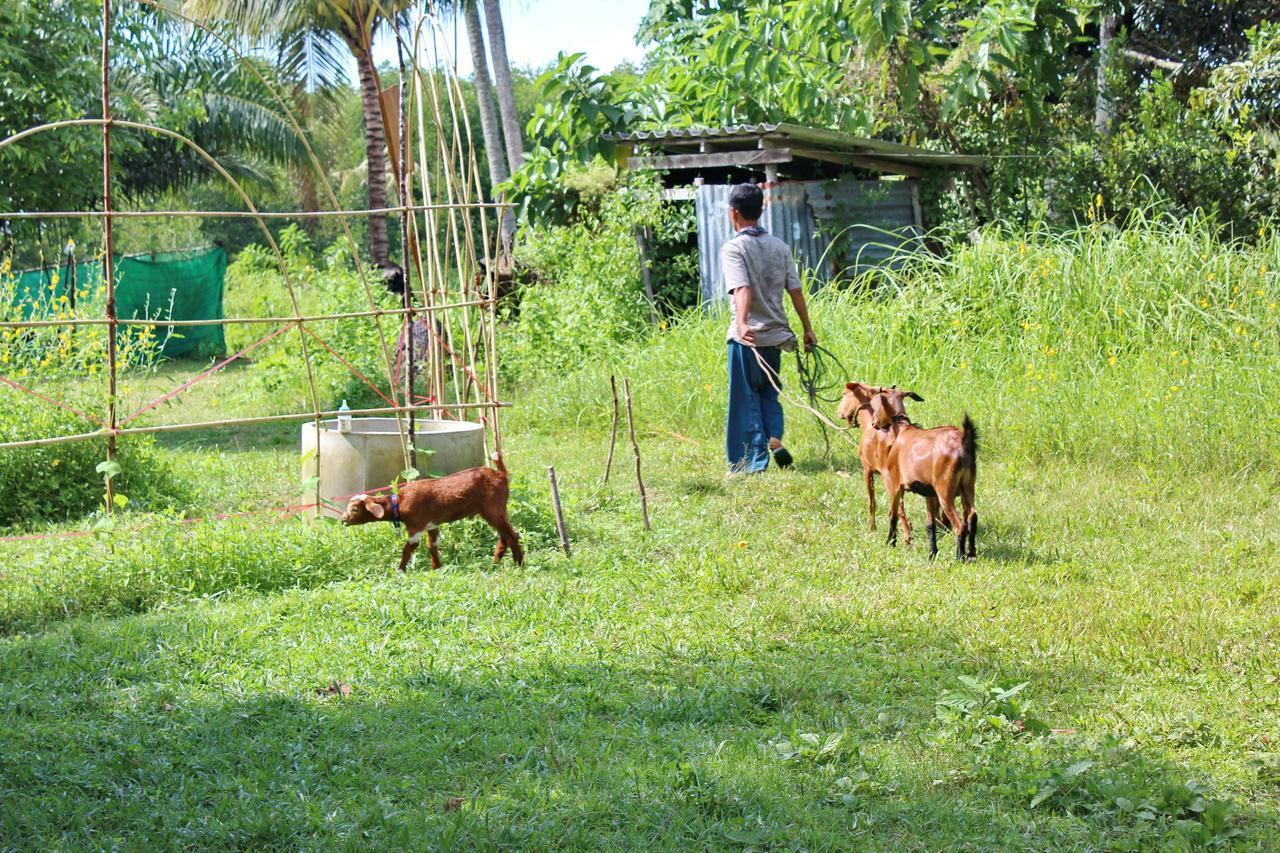 Yaoisland And Farm Resort Ko Yao Yai