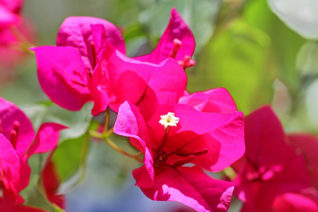 Tp Hut Resort Koh Chang