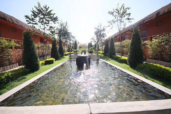 Aurora Resort