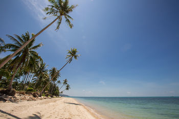 Luxury Pina Colada Villa Mae Nam
