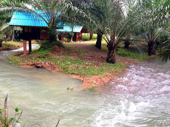 Hotel Khao Sok Silver Cliff 2*