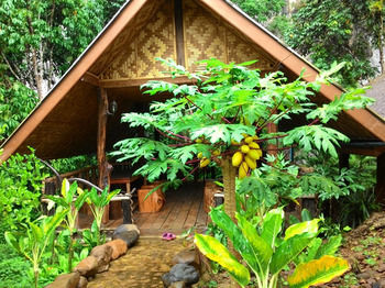 Hotel Khao Sok Silver Cliff