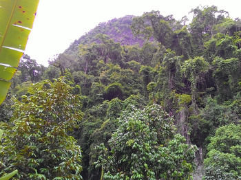Hotel Khao Sok Silver Cliff Phanom