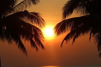 Sibaja Palms Sunset Luxury Villa *