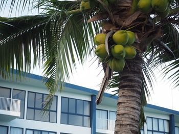 Baan Thew Talay Blue Sapphire Hotel