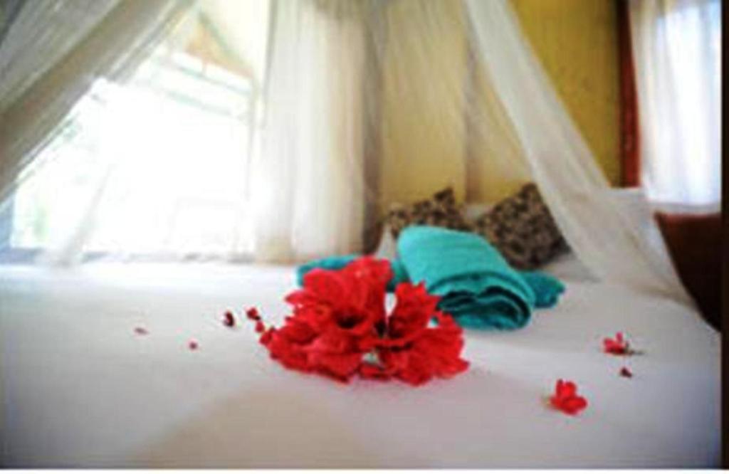 Smile Bottle Resort Bottle Beach