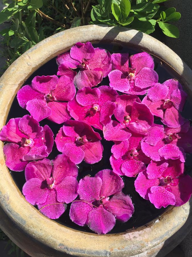 Bc Summer Bed & Breakfast Pran Buri