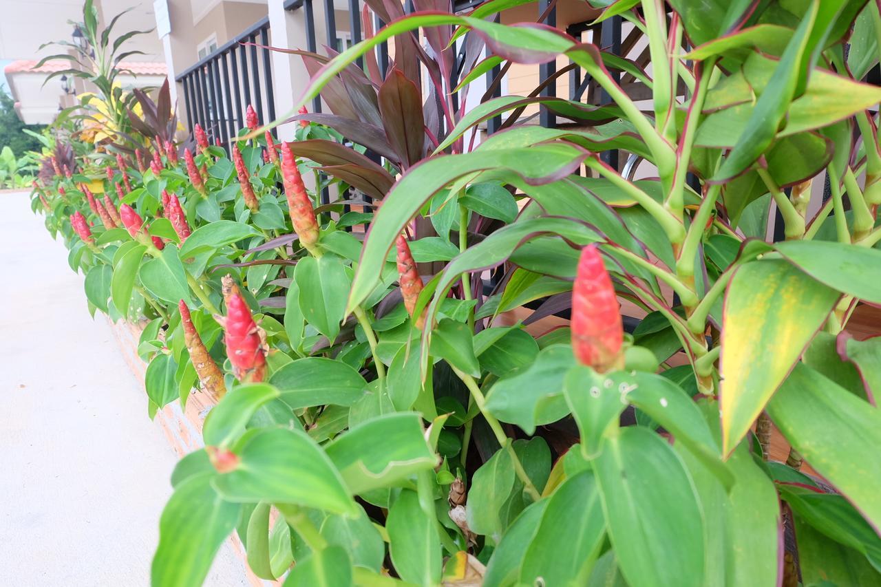 Resort Deva Garden