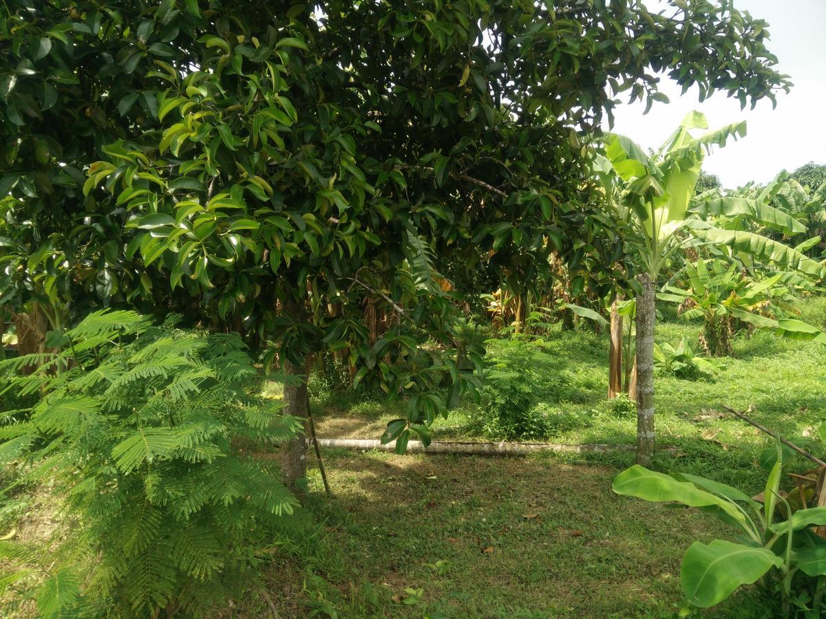 Resort Deva Garden 2*