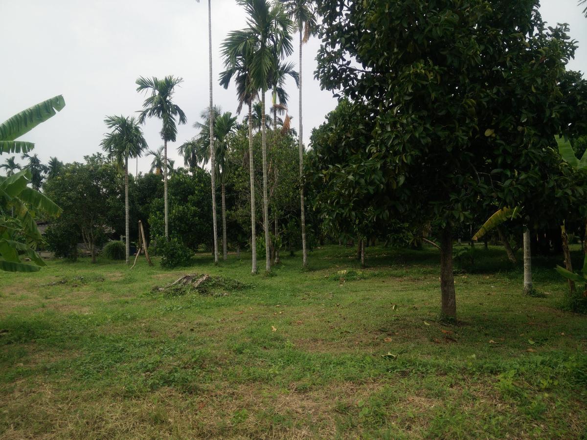 Resort Deva Garden Prachinburi